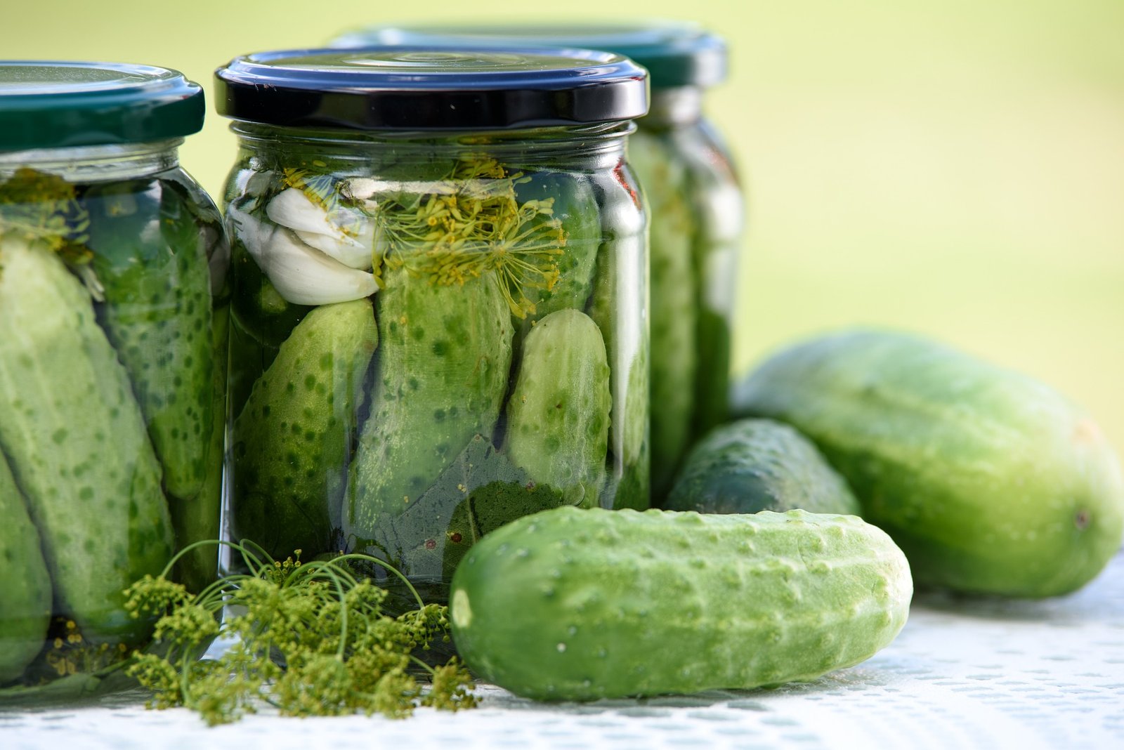 Quick Pickled Cucumber Recipe